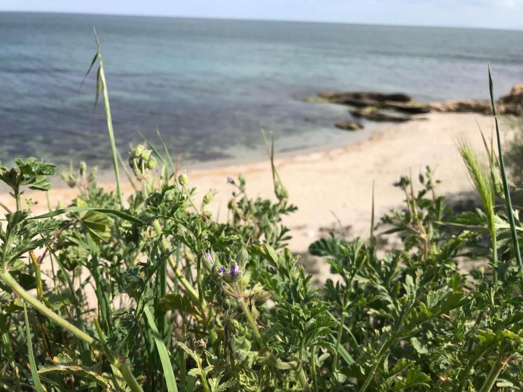 Black Sea Wellnest Aheloy Luaran gambar